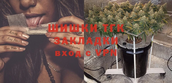 стаф Волоколамск
