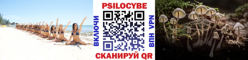 Купить закладки  Шахты  Псилоцибиновые грибы мухоморы 